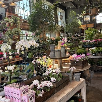 Terrain Cafe - New American Near Me - Westport, Connecticut