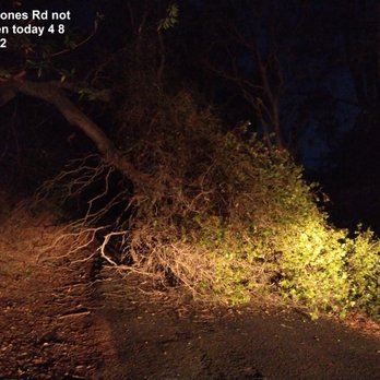 Briones Regional Park - briones rd martinez, ca not open big pine tree down on the rd as of 555am 4 8 2022 photos @ https://imgur.com/a/rPQCq80 - Parks Near Me - Martinez, California Briones Regional Park - briones rd martinez, ca not open big pine tree down on the rd as of 555am 4 8 2022 photos @ https://imgur.com/a/rPQCq80 - Parks Near Me - Martinez, California