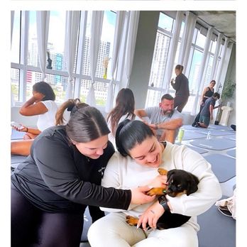 Puppy Sphere - Yoga Near Me - Miami, Florida Puppy Sphere - Yoga Near Me - Miami, Florida