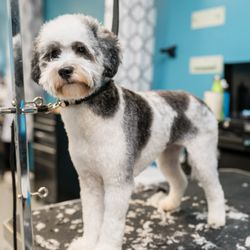 Nature's Select Pet Foods