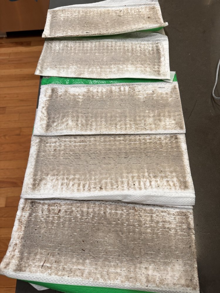 THE CLEANING AUTHORITY COLUMBIA 23 Reviews 7085 Samuel Morse Dr