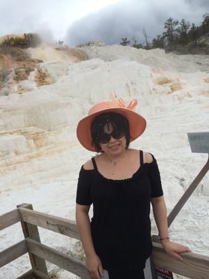 Mammoth Hot Springs by null