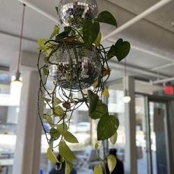 Willow Coffee - Love this decor