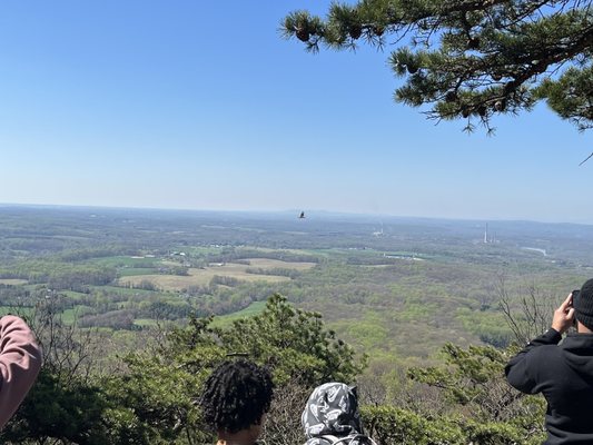 Sugarloaf Mountain by null