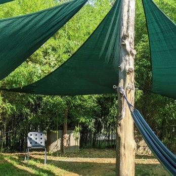 Honeysuckle Tea House - Lounging space - Coffee & Tea Near Me - Chapel Hill, North Carolina