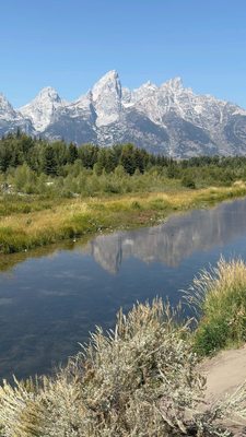 Schwabacher Landing by null