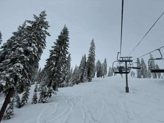 Mt. Shasta Ski Park by null