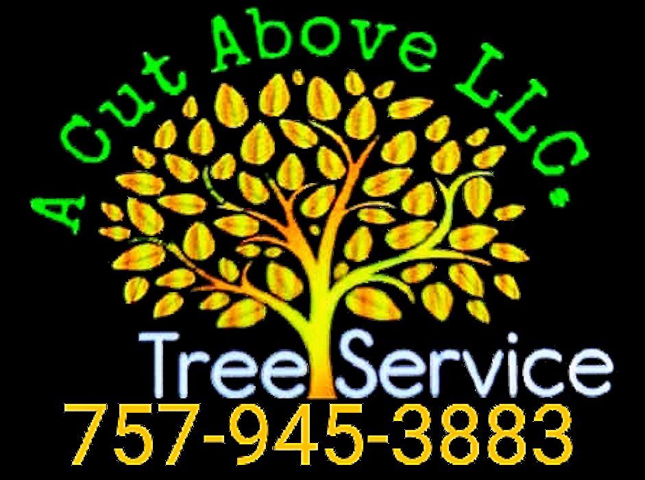 A Cut Above - tree service in Virginia Beach, VA