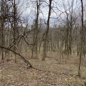White Oak Trail - Hiking Near Me - Louisville, Kentucky White Oak Trail - Hiking Near Me - Louisville, Kentucky