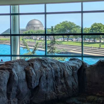 Shedd Aquarium - Aquariums Near Me - Chicago, Illinois Shedd Aquarium - Aquariums Near Me - Chicago, Illinois
