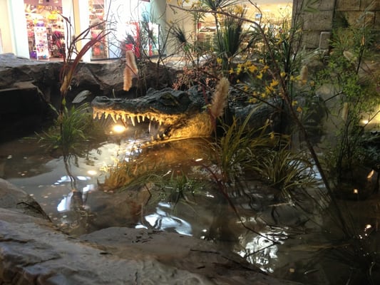 Rainforest Cafe by null