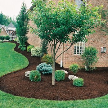 Total Renovation Landscaping - a front yard with mulch - Masonry/Concrete Near Me Total Renovation Landscaping - a front yard with mulch - Masonry/Concrete Near Me