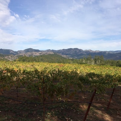 Storybook Mountain Winery by null