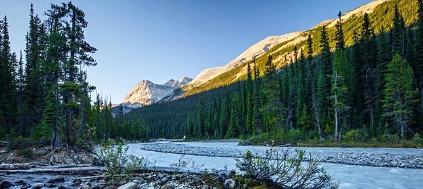 Confluence Psychiatry