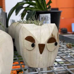 The Home Depot