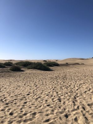 Dunas de Maspalomas by null