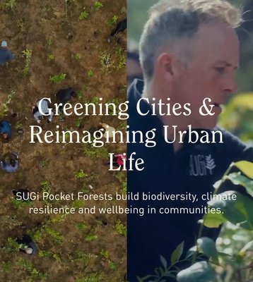 Manhattan Healing Forest by null