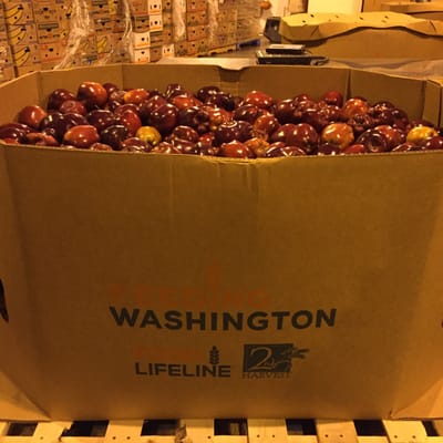 Food Lifeline by null