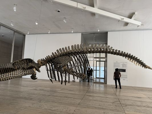 Museo Jumex by null