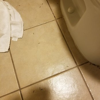 Oak Tree Inn 128 Photos 73 Reviews Hotels 788 W Huntington Dr Monrovia Ca Phone Number