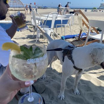 MONTY’S DOG BEACH & BAR - Updated January 2026 - 348 Photos & 159