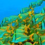 Photo of ME Dive Center