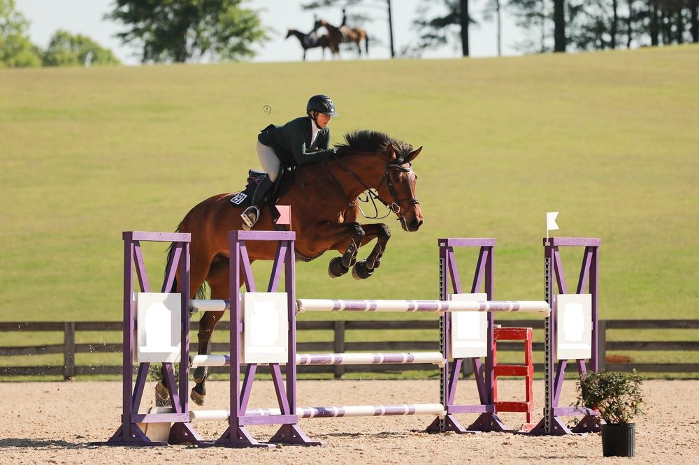 Jaid Stables - equestrian in Canton, GA