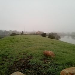 Friends of the Petaluma Riverfront - Fog over the Petaluma riverfront heritage walking trail. Sensitive wildlife, please leash your pups ‍