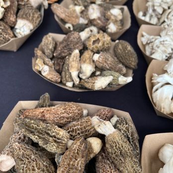 Bridgetown Mushrooms - His - Specialty Food Near Me - Tigard, Oregon Bridgetown Mushrooms - His - Specialty Food Near Me - Tigard, Oregon