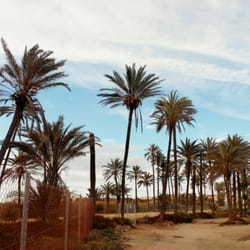 Cala Ferris - Playa Cala Ferris, Torrevieja, España
