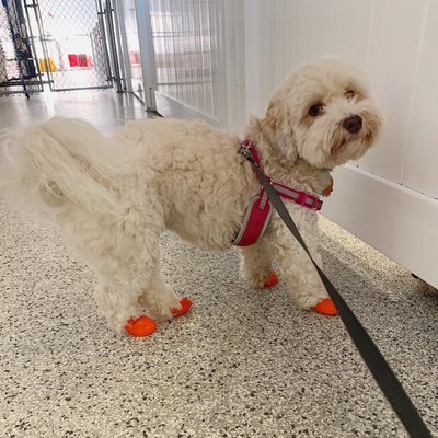 Crate Escape by null