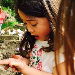 A Child Becomes...Preschool