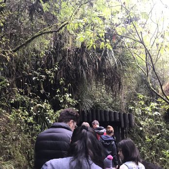 Auckland & Beyond Tours - Going in! - Travel Agents Near Me Auckland & Beyond Tours - Going in! - Travel Agents Near Me