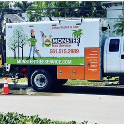OReilly Tree Experts