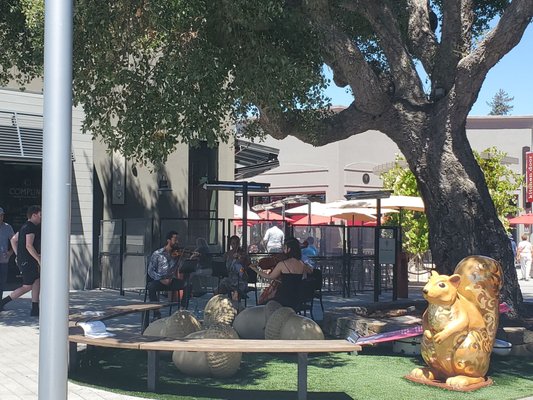 Music in the Vineyards by null