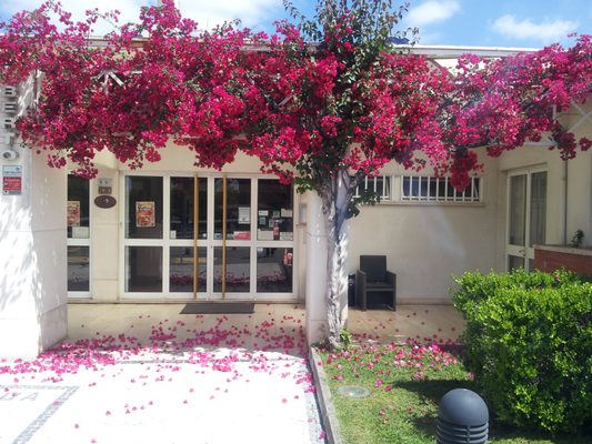 Pedro dos Leitões by null