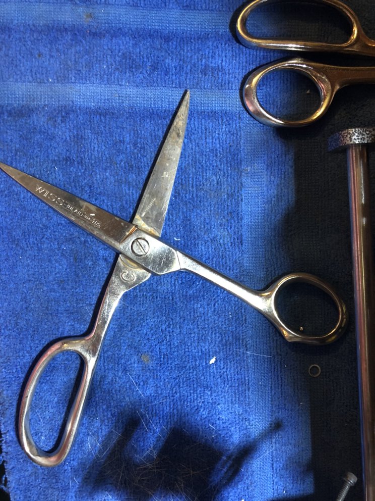 LIVING ON THE EDGE SHARPENING Updated July 2024 11 Photos