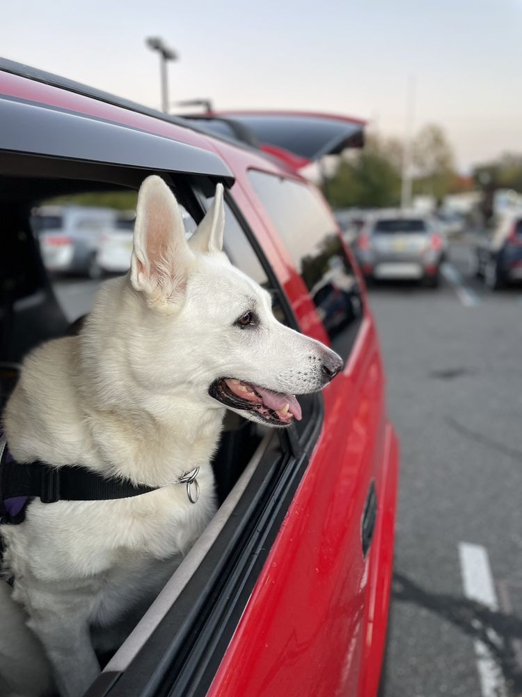 VARGA AUTO REPAIR & TRANSMISSION CENTER Updated August 2024 14