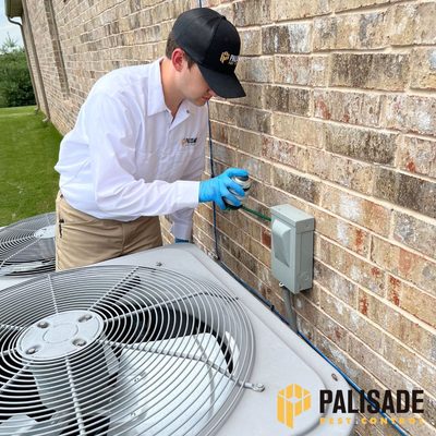 Palisade Pest Control