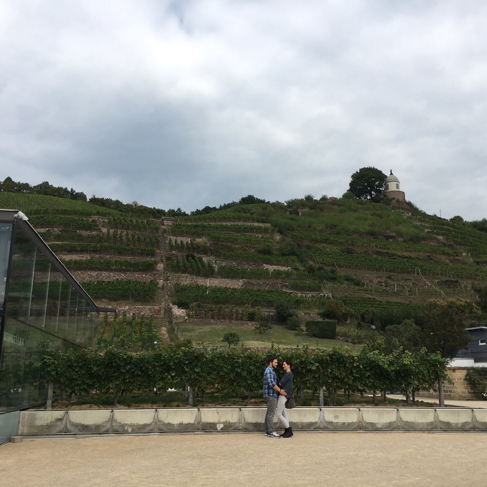 Schloss Wackerbarth - Wineries Near Me - Radebeul, SN