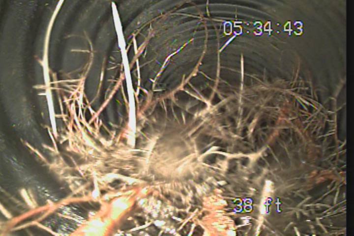 Slide of Sewer-Oscopy