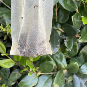 Ventana Coffee - Quality Loose Leaf Teas from my latte - Coffee & Tea Near Me - Covina, California Ventana Coffee - Quality Loose Leaf Teas from my latte - Coffee & Tea Near Me - Covina, California