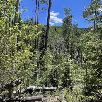 Aspen Vista Trail - Hiking Near Me