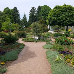 Botanischer Garten