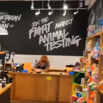 Lush - Cosmetics & Beauty Supply Near Me - Torrance, California Lush - Cosmetics & Beauty Supply Near Me - Torrance, California