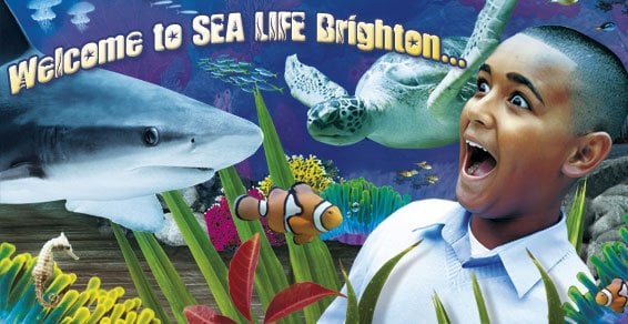 SEA LIFE Brighton by null