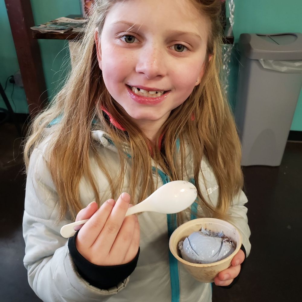 Bliss Small Batch Creamery - Cookie Monster! - Ice Cream & Frozen Yogurt Near Me - University Place, Washington
