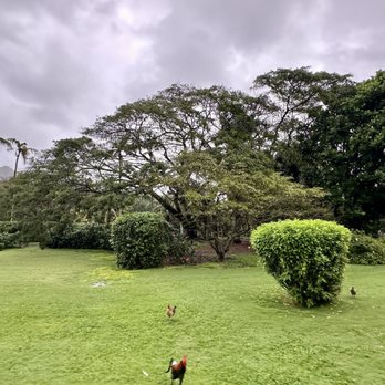 Smith's Family Garden Luau - Music Venues Near Me - Kapaa, Hawaii