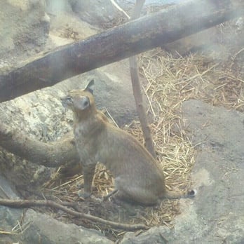 Birmingham Zoo - Zoos Near Me - Birmingham, Alabama