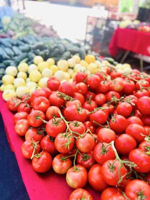 Brentwood Farmers Market by null